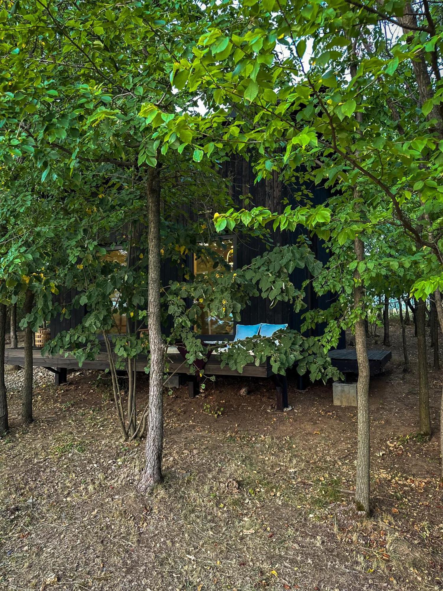 Chalet Ria Retreat Rasvadu de Sus